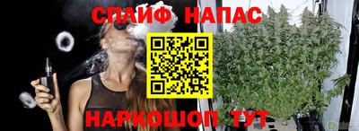 индика Краснодар
