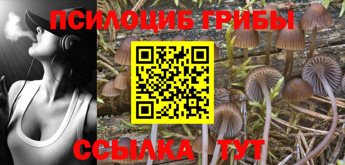 Псилоцибиновые грибы Psilocybe  Вход с VPN  наркошоп  Псилоцибиновые грибы мицелий  Елабуга 