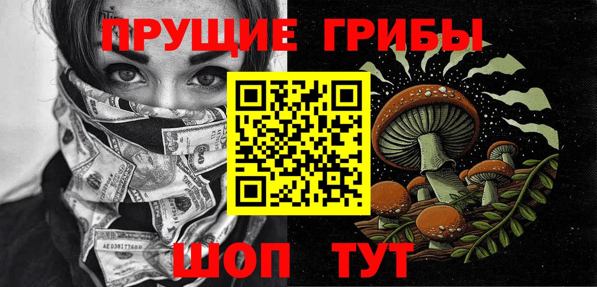 Псилоцибиновые грибы MAGIC MUSHROOMS Елабуга