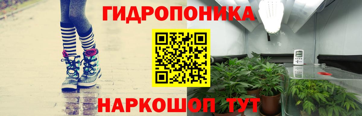 Шишки марихуана тримм  Канабис OG Kush  Елабуга  Вход с VPN 